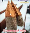 Скриншот 25-06-2025 165240.webp
