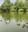 IMG_1775.webp