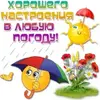 IMG_1140.webp