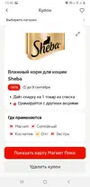 Screenshot_20250723-154100_Parallel Space.webp