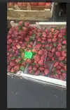 Скриншот 31-07-2025 224206.webp