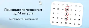Скриншот 07-08-2025 103230.webp