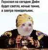 IMG_1411.webp