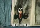 27451291_aa300ed175611636748c9a6f1ace0681_800.webp