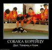 11йцук11.webp