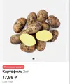 Безымянный.webp