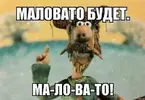 i.webp i.webp