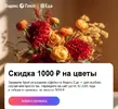 333.webp