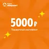 5000.webp
