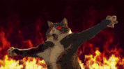 cat-flames.gif