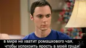 144355933114031122.webp