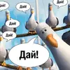 1000029915.webp