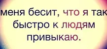 IMG_1812.webp