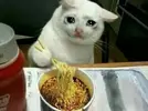 2qqumz748m851.webp