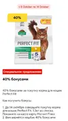 Screenshot_2025-10-14-21-50-44-257_ru.tander.magniJ.webp