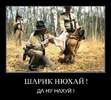795022.webp