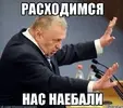 vZSs669RId0.webp