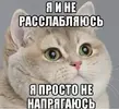 IMG_1857.webp