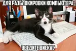 IMG_1860.webp