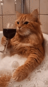 анимированная_открытка_нет_текста.gif
