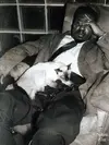 ckfkhzb1o6i61.webp