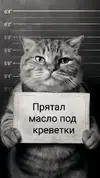 7b1dd311f751574e6548cbaf854f8117 (2).webp