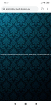 Screenshot_2019-01-09-17-17-24-130_com.android.chrome.webp