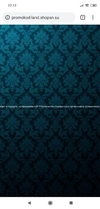 Screenshot_2019-01-09-17-17-29-425_com.android.chrome.webp