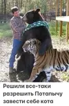 Изображение WhatsApp 2025-11-20 в 12.57.20_8b7a8af8.webp