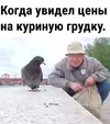 1763986841621.webp