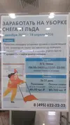 енекнкен.webp