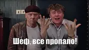 i.webp