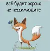 1000035376.webp