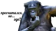 1764941444997.webp