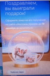 IMG_20251212_022820.webp