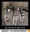IMG_20251212_124057.webp