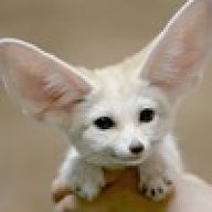 Fennec