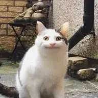 KaPaMeJlbKaGG