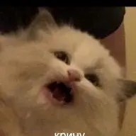 чигиряу