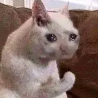 Дощь