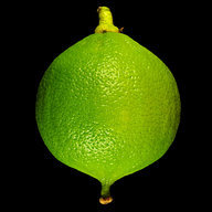 bergamot