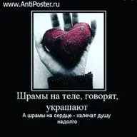 Нути