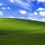 alaMutX