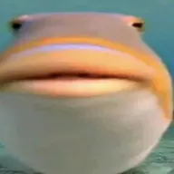 Oxrana