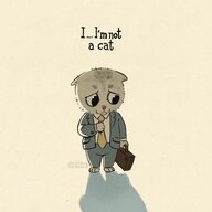 I`m not a cat