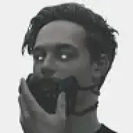 Budvaizer