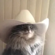 mynameiswdk