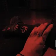 G.I.S