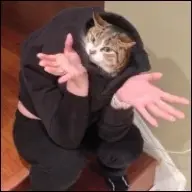 Pikiroda1