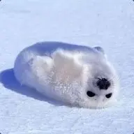 ▁ ▂ℜξdჯЇՔ℘Θ▂ ▁